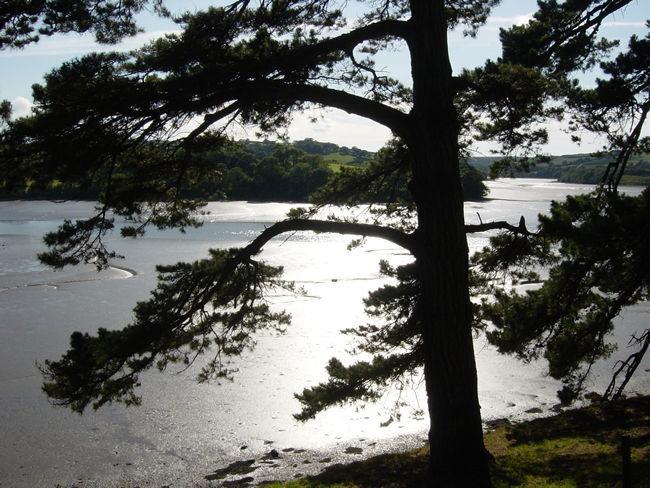 Waterside Holiday Cottages Truro Bagian luar foto